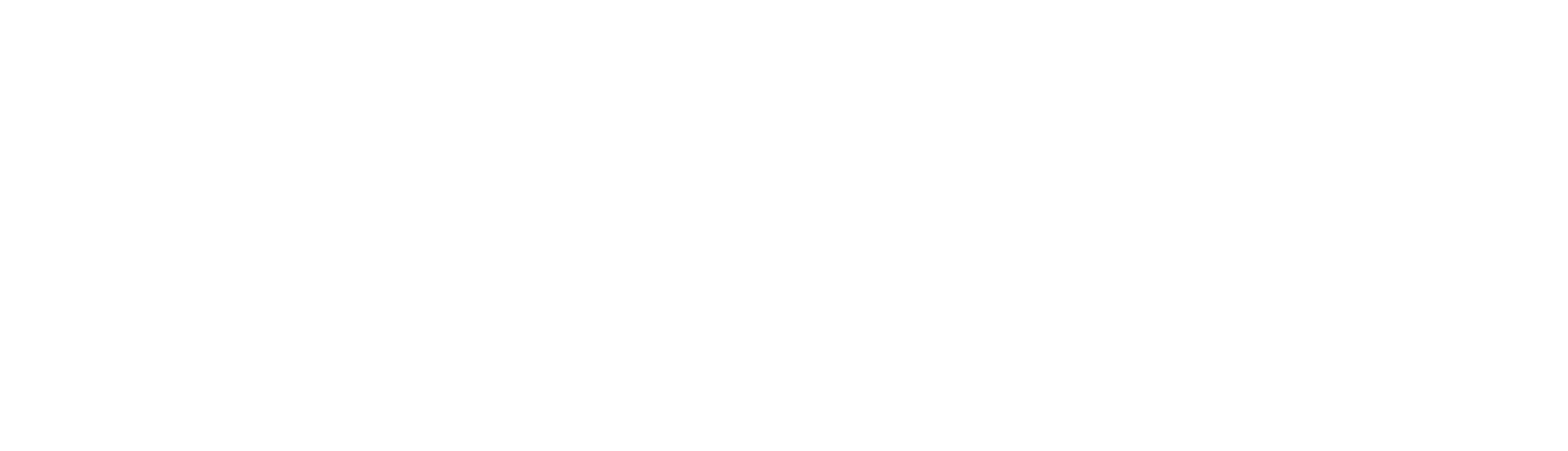 White wordmark preview